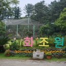 만하 | 제주서쪽가볼만한곳, 제주 아이와 가볼만하곳 화조원 방문후기!