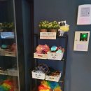 케이스타코인노래연습장 이미지