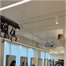 동우기술(주) | 장산역 극손상 모발 클리닉 선택 시 신뢰성 있는 진단과 처방 확인 방법