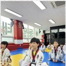 강인태권도 | 당감동태권도 실전태권도로 찾은 내 삶의 활력소, 성인 맞춤 프로그램 후기