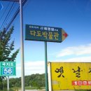 다도박물관 Daum카페
