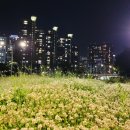 죽전현대공인중개사사무소 이미지