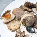 월악하늘계곡펜션 이미지