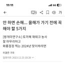 🟣년말 가기전에 꼭 챙기세요 이미지