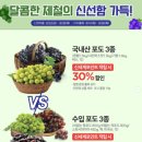 대전전단