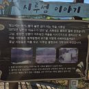 시루섬 | [단양 여행] 핫플 시루섬 생태탐방교 임시 개방 &amp; 이끼터널과 무지개터널 드라이브 코스 후기