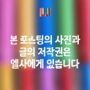 세계유산 종묘-주차, 문화의날 해설시간, 방문후기