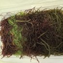 해초과메기양정점 | 제철마다 꼭 먹는 해초과메기믿고 먹는 체인점 배달 내돈내산 후기