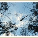 천을산 해맞이 이미지