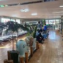 대동헬스피아 이미지