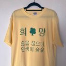 양지(아) 이미지