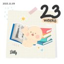 순천은병원 | [11월 일상] 임당검사/정밀초음파/여수&amp;순천 여행/장염 후기