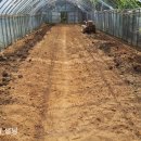 기영농장 이미지