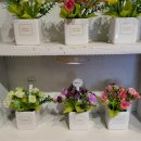 세종 오즈 이미지