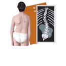 중화동-103 | 허리통증 디스크 치료는 목동 신정형외과에서 해결하세요! [서울, 영등포, 양천구]