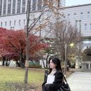 이제연 카카오 검색결과