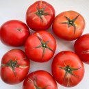 토마토 이미지
