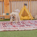 파파야 펜션 이미지