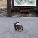 무수천하마을 이미지