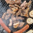 BABO글램핑 | [포천글램핑] 분위기 좋은 포천 애견동반 글램핑, 블루펫글램핑