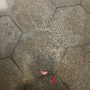 갑-110 | 타이베이 자유여행 1일차 일정｜딘타이펑·타이베이101·일갑자찬음 필수 코스