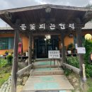 들꽃피는언덕 캠핑장 | [횡성] 웰리힐리파크 쌈밥 찐맛집 들꽃피는언덕 _ 횡성둔내맛집