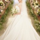 윤정희헤어 | [본식스냅] 로즈베일리 후기 | 사진원 페르소나 윤정희스냅 비교 | 가격 공유