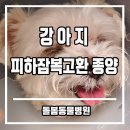 두산동물병원 이미지