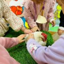 바다의별유치원 이미지