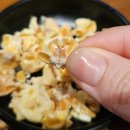 다다하다부산 - 서구 대영로73번길 8 | 부산 연산동 이자카야 다다하다 부산토곡점 솔직후기