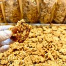 엄마찬s 이미지