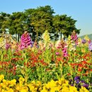 한강시민공원 이미지