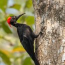 세이에너지 이미지