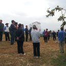 김종출농장 이미지