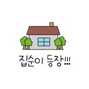 봄파마 - 북구 | 봄파마
