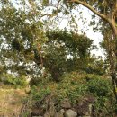 상모리-27 이미지