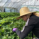 아원농장 이미지