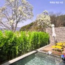 매일목욕탕 | 포항 신광 원탕 노천탕 온천 목욕탕 카페 추천 [세븐데이즈어위크] 솔직후기