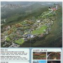 아산 튤립 수선화 불꽃축제 피나클랜드 수목원 가볼만한곳 추천입장료 소요시간 애견동반 정보