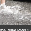 일조농장 이미지