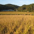 연산초교 이미지