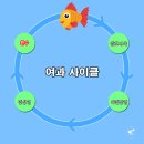 사이클인 이미지