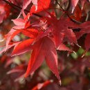 버스터미널 앞 이미지