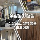 파보헤어 이미지