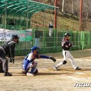 성수면 야구장 이미지