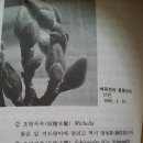 일지사 이미지