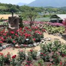 천하태평 이미지