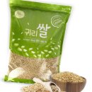 잡곡집