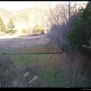 정구농장 이미지