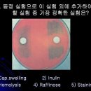 질문있습니다^^*&amp;&amp; 이미지